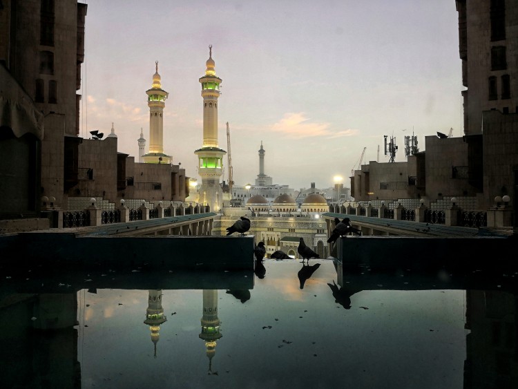كيف تثبت وجود الآخرة، أي الحياة بعد الموت؟