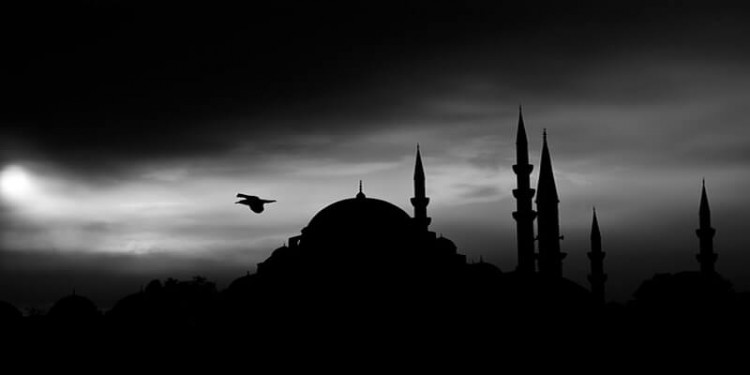 ادعاء أن ناقة صالح - عليه السلام - خرافة تتنافى مع العقل