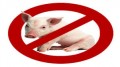 لماذا يحرم أكل لحم الخنزير في الإسلام؟