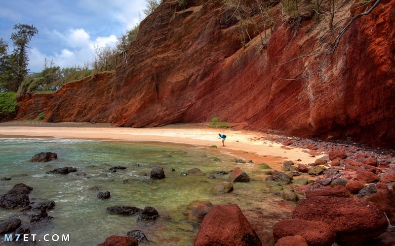 كيف تستنكِرون حَرْقَ المتطرِّفين للبشَر، وأنتم تؤمِنون بنارِ جهنَّمَ الأبديَّةِ للكافِرين في الآخِرة؟